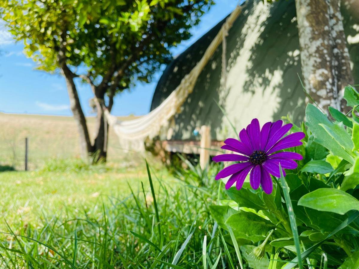 בית הארחה Corredoura 	Glamping Turquesa, Feel And Relax In A Wood House מראה חיצוני תמונה