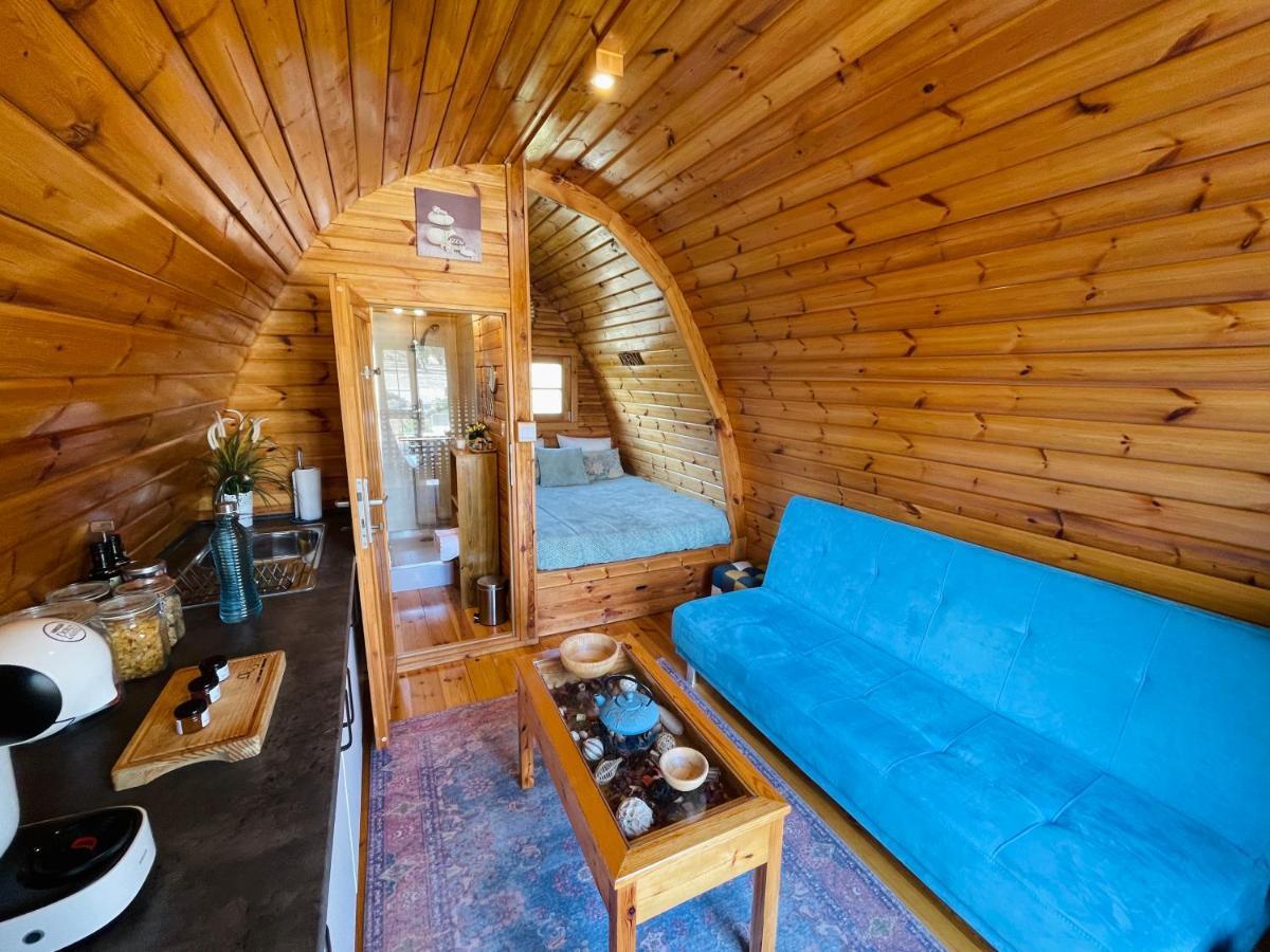בית הארחה Corredoura 	Glamping Turquesa, Feel And Relax In A Wood House מראה חיצוני תמונה